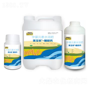 �Ǵ��}-������-�M������