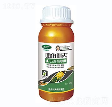 萬(wàn)壽菊專用-哈伯利夫