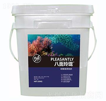 八面玲瓏-蔬美特