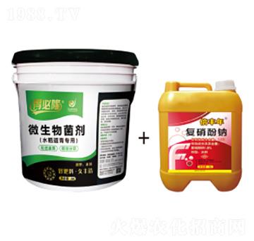 水稻返青專(zhuān)用微生物菌劑-得必隆-農(nóng)墾久豐