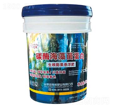 ̼ø���������-�Z����