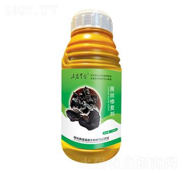 菌絲修復劑-云臺