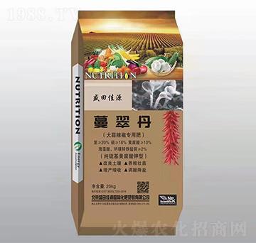 ����������(zhu��n)�÷�-���䵤-�����t