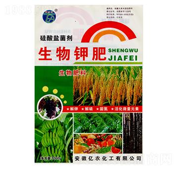 ����⛷�-�|�r(n��ng)����