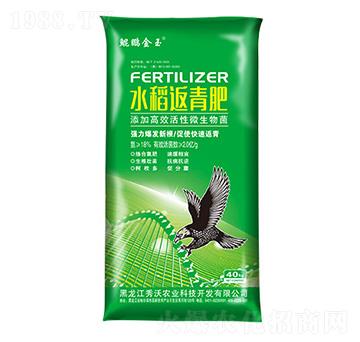 水稻返青肥-秀沃農業(yè)