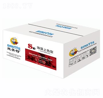 海藻上色型-施美特