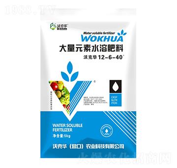 大量元素水溶肥12-6-40-沃克華