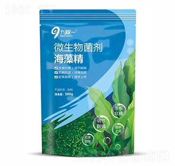 ���徫΢�������-�ż�һ