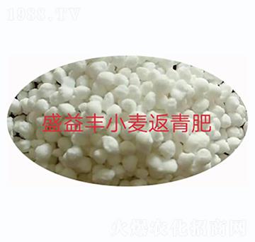 盛益豐小麥返青肥-盛益豐