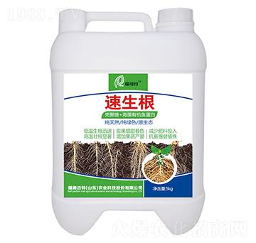 速生根-瑞可丹-瑞閣邁特