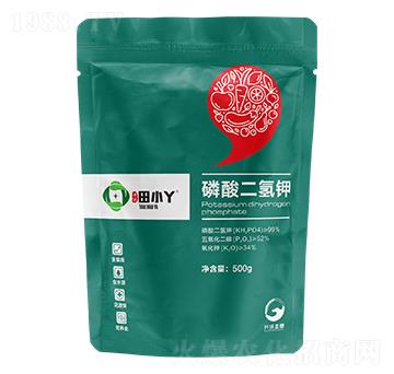 ��������-��СѾ-�_������