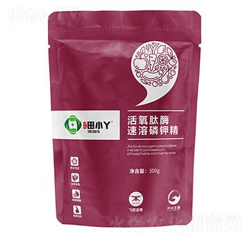 ������ø������⛾�-��СѾ-�_������