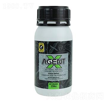 Agent X-沃格瑞