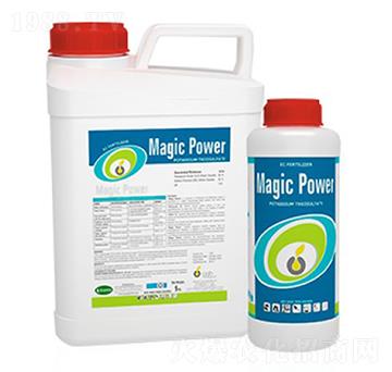 Magic Power-�ָ���