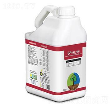 Power Bonanza-�ָ���