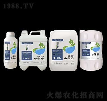 ֲ�ﺣ�����1-06-�ָ���