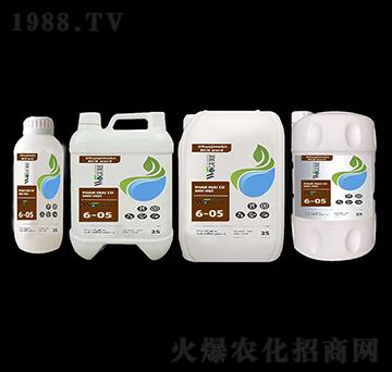 ø��ך���6-05-�ָ���