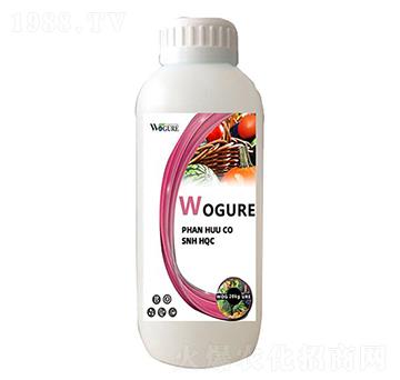 ø���~(y��)�����ģ�ƿ�b��-�ָ���