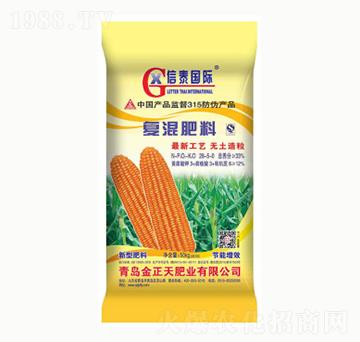 ���׌��Ï�(f��)�����-������ʘI(y��)