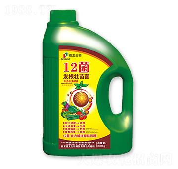 12���l(f��)�������-��������