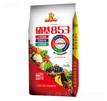 硝基853功能肥15-15-15-恒豐牛-凱龍楚興