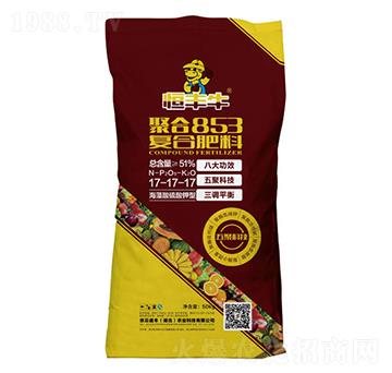 �ۺ�853��(f��)�Ϸ���17-17-17-���Sţ-�P�����d