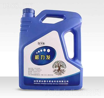 �����l(f��)-�ٺ���-��(gu��)�S�ʘI(y��)