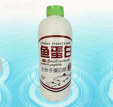 �~����-�{���r��