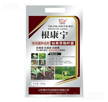 �ݲ�ѿ�ߗU��-������-��(r��n)�����