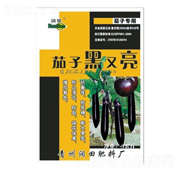 ���Ӻ�����-�������