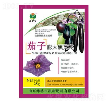 茄子膨大黑又亮-潤田肥料