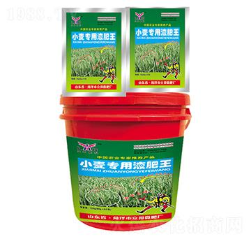 С������Һ����-��������