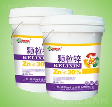 �w���\-ʩ����-��S����