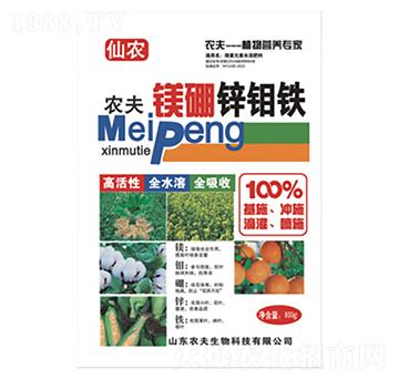 �V���\�f�F-�r(n��ng)��