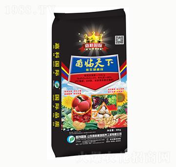 ΢�������-���R����-�ο�