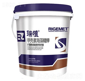 �ך��غ��徫�-��ֲ-���w�~��