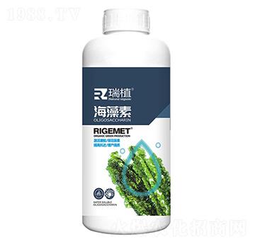 ������-��ֲ-���w�~��