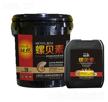 ̼ȼ����ؐ��-�Qһ