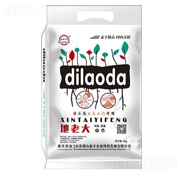 4kg地老大-梁山泰豐