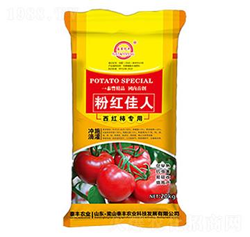 西紅柿專用-粉紅佳人-梁山泰豐