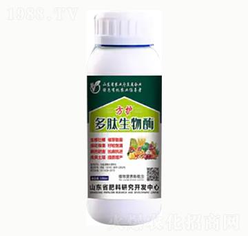 ��������ø-���o-��혻���