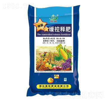 ����ጷ�18-8-19-����