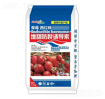 ��ݮ���t����������T��(d��o)��-����(l��i)��(l��)