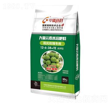 ꖹ�õ�匣�ô���Ԫ��ˮ�ܷ���12-6-38+TE-���ظ߿�