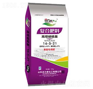 ���ߌ��÷ʸ���������ͺϷ�16-5-21-����̩