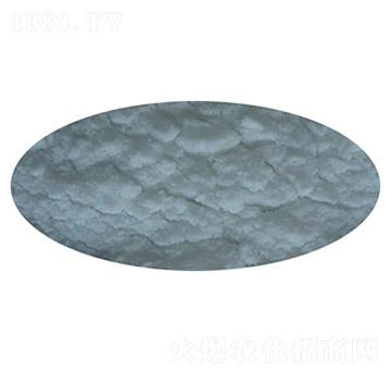 �����@��ĩ�������Ἁ(j��)��-ʢ��ʘI(y��)