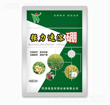 ����������-�GѸ