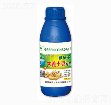 ����������-�GѸ