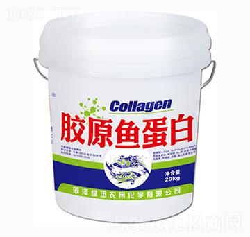 �zԭ�~����-�GӍ