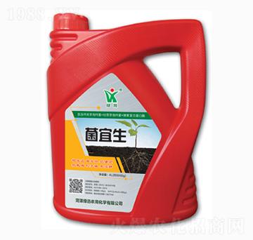 ������-�GӍ